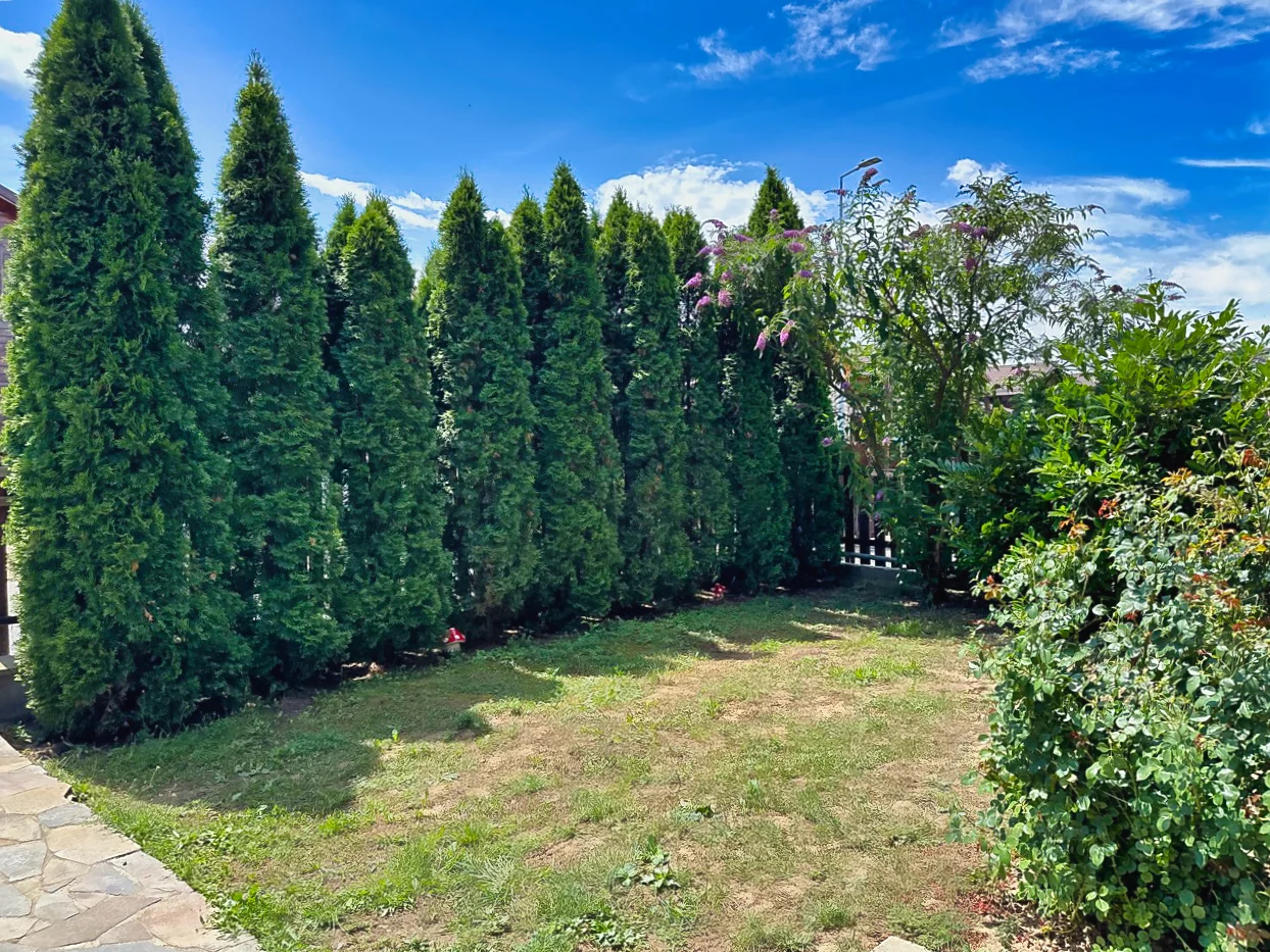 Grădină cu gazon și arbori
